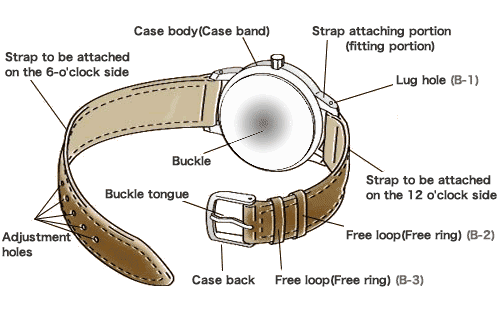 What Are The Part Names Of Watches
