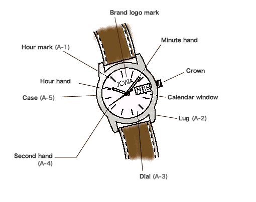 An example of a typical analog watch with a leather strap