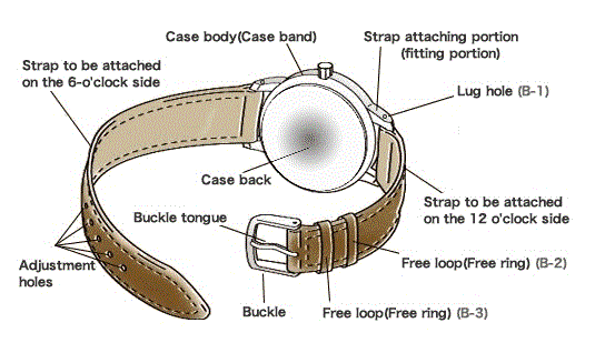 An example of a typical analog watch with a leather strap