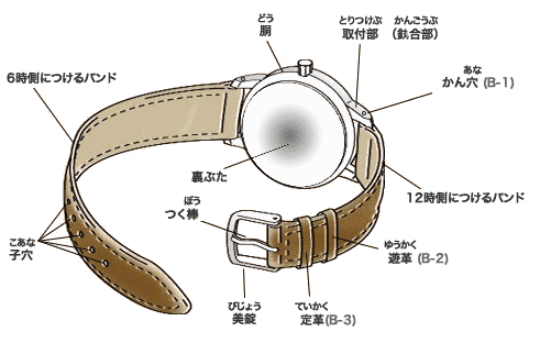 腕時計の各部の名称を教えて | 日本時計協会 (JCWA)