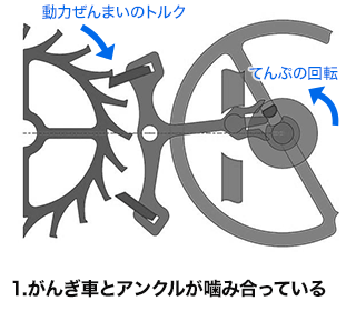 1. がんぎ車とアンクルが噛み合っている