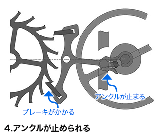 4. アンクルが止められる